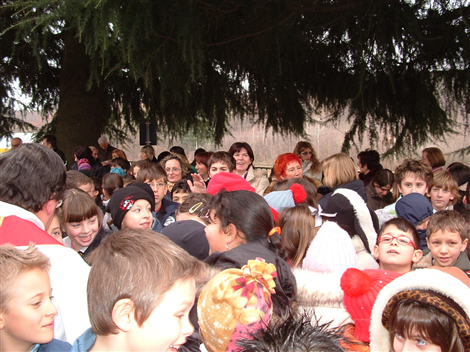 Il pubblico
