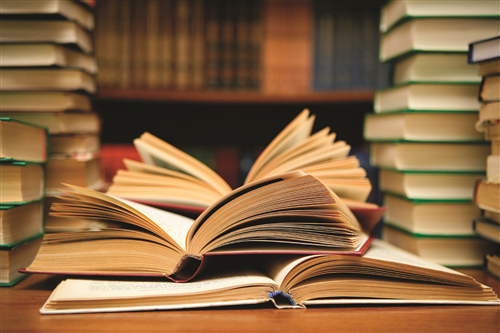 La biblioteca
